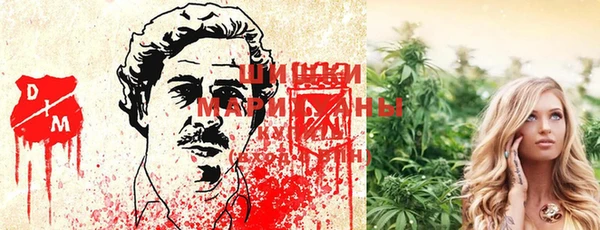 ГАЛЛЮЦИНОГЕННЫЕ ГРИБЫ Алексеевка